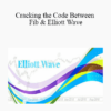 Todd Gordon - Cracking the Code Between Fib & Elliott Wave 2021