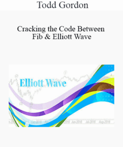 Todd Gordon - Cracking the Code Between Fib & Elliott Wave 2021