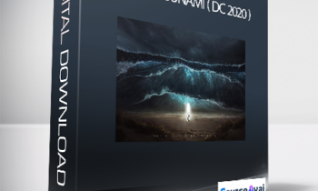 Traffic-Tsunami ( DC 2020 )