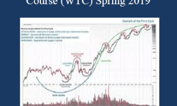 Wyckoff Analytics – Wyckoff Trading Course (WTC) Spring 2019