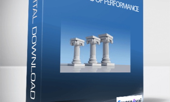 Z-Health - The 3 Pillars Of Performance