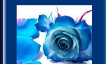 Etheric Recharge  -  Presence Healing Inc