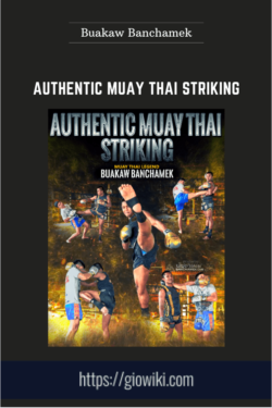 Authentic Muay Thai Striking  -  Buakaw Banchamek