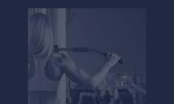 Beauty - Beast  -  Thibarmy