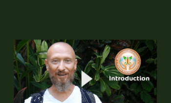 BioDynamic Breathwork & Trauma Release Session  -  Giten Tonkov