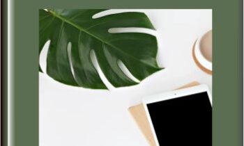 DEI Blueprint Enrollment 2022  -  Dr. Sam