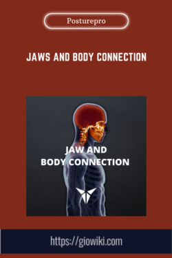 Jaws And Body Connection  -  Posturepro