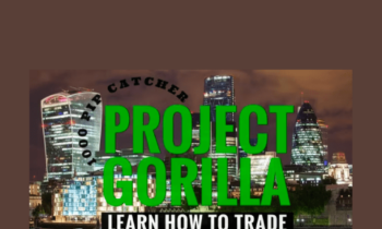 Learn How To Trade  -  Project Gorilla