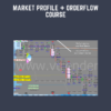 Market Profile + Orderflow Course  -  Vtrender (Shai)