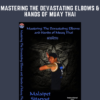 Mastering The Devastating Elbows & Hands of MUAY THAI  -  Malaipet Sasiprapa