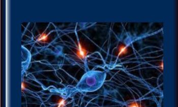 Quantum Mind Power 2.0  -  Morry Zelcovitch