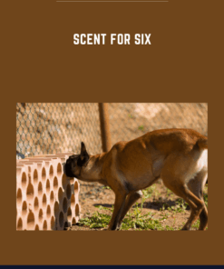 Scent For Six  -  Nando