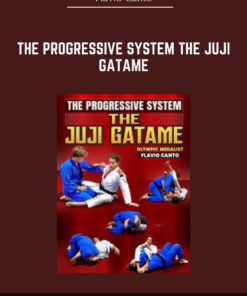 The Progressive System The Juji Gatame - Flavio Canto