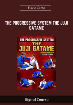 The Progressive System The Juji Gatame - Flavio Canto