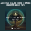 Ancestral Healing Course + Making Progress Bundle 2023 - Teal Swan