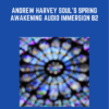 Andrew Harvey Soul's Spring Awakening Audio Immersion B2 - Andrew Harvey