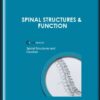 CHEK Institute  -  Spinal Structures & Function