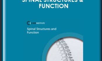 CHEK Institute  -  Spinal Structures & Function
