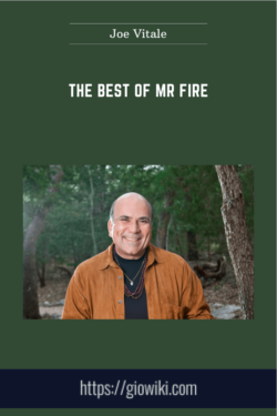 The Best of Mr Fire  -  Joe Vitale