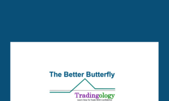 The Better Butterfly Course  -  David Vallieres