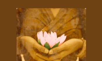 The Power to Heal Yourself Mentorship Program  -  Margaret Paul