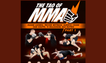 The Tao Of MMA  -  Duane Ludwig