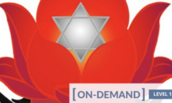 On-Demand Meditation Level 1 Course - Gregor Maehle