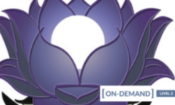 On-Demand Meditation Level 2 Course - Gregor Maehle