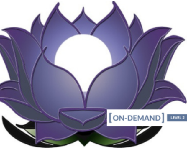 On-Demand Meditation Level 2 Course - Gregor Maehle