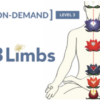 On-Demand Meditation Level 3 Course - Gregor Maehle