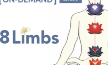 On-Demand Meditation Level 3 Course - Gregor Maehle