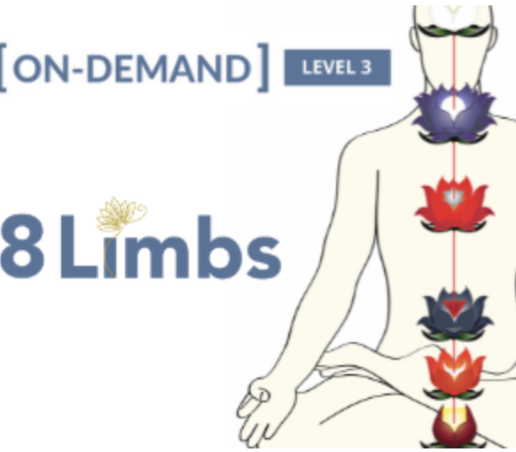 On-Demand Meditation Level 3 Course - Gregor Maehle