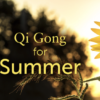 Qi Gong for Summer Workshop - Lee Holden