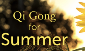 Qi Gong for Summer Workshop - Lee Holden
