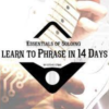 Essentials of Soloing Phrase in 14 Days - GuitarZoom