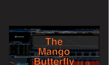 The Mango Butterfly Deep Dive 2023 - Jay Bailey