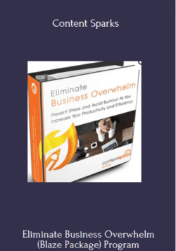 Eliminate Business Overwhelm (Blaze Package) - Content Sparks