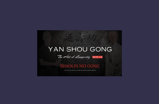 The Art of Longevity (Sets 1-6) Program By Yan Shou Gong