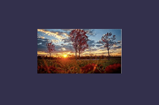 The Game-Changing Book Blueprint Program By Merav Richter