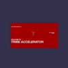 Tribe Accelerator - Arlin Moore