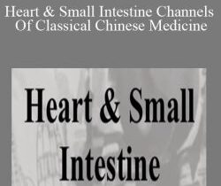 ACCM – Heart & Small Intestine Channels Of Classical Chinese Medicine