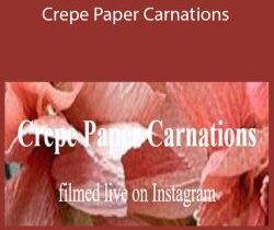 Amity Katharine Libby – Crepe Paper Carnations