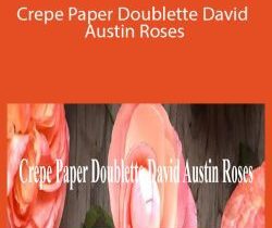 Amity Katharine Libby – Crepe Paper Doublette David Austin Roses