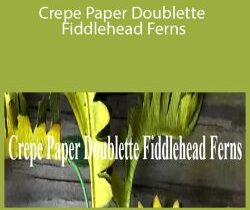 Amity Katharine Libby – Crepe Paper Doublette Fiddlehead Ferns