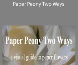 Amity Katharine Libby – Paper Peony Two Ways
