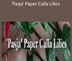 Amity Katharine Libby – ‘Pasja’ Paper Calla Lilies