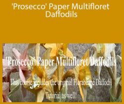 Amity Katharine Libby – ‘Prosecco’ Paper Multifloret Daffodils