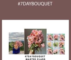 Amity Katharine Libby with Sam Taylor – #7DAYBOUQUET
