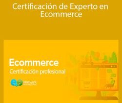 Andrés Esteban Díaz del Castillo – Certificación de Experto en Ecommerce