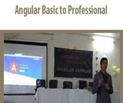 Angular Basic to Professional